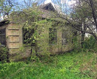 Продам дом+огород 50соток шандровка(днепропетровская область)