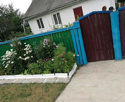 продам будинок з великою ділянкою землі село Жуків Славутський район