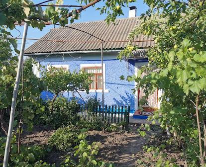 Продам будинок в селі Должанка