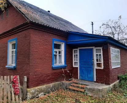 Будинок в селі Немирівка