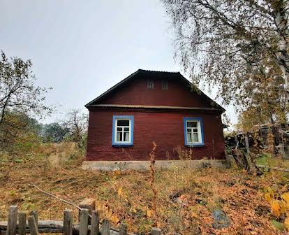 Будинок в селі Немирівка