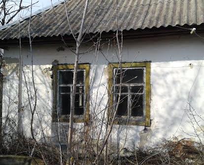 Продам старый дом с. Волчок, Черниговская область
