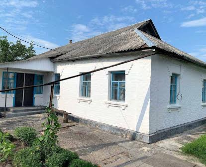 Будинок в селі Недра (київська область) площею 98,5 м2
