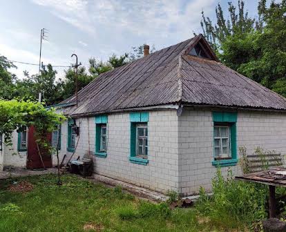 Продам будинок с. Саливонки Васильківський р-н, 67 сот.