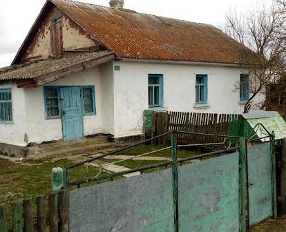 Будинок дім хата в селі Іванівка Славутський р-н дом Ивановка 40 соток