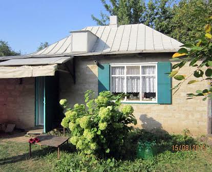 Дом в деревне Полковая Никитовка Богодуховский р-н