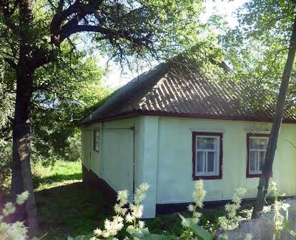 Продам дом с участком под застройку в Зорине Вышгородском р-не
