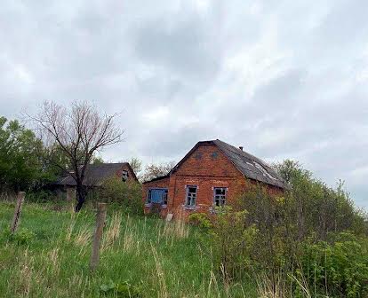 Приватний будинок, 0.25га, село Кухарі, Київська область