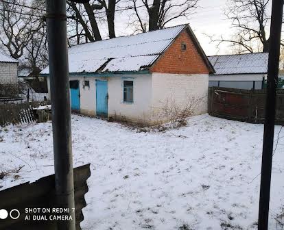 Продам будинок у селі Вовчків