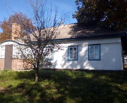 Продам будинок (дім, дача) в селі Мельники Канівського району