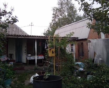 Продам чи обміняю будинок в селі Кощіївка. 47км до Києва.