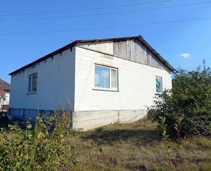 Будинок в селі Шамраївка