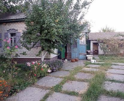 Продам житловий будинок в селі  Талалаївка 11км від Ніжина .