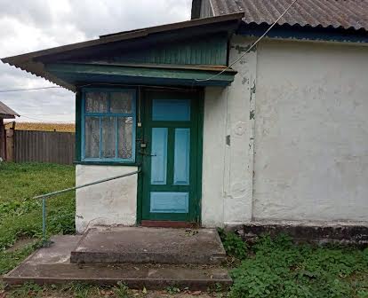 Продається будинок в селі Богате
