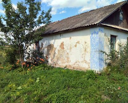 Продам будинок в селі Коровє