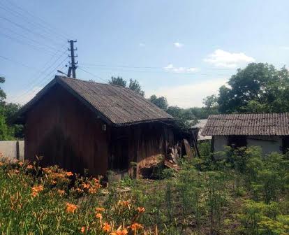 Будинок у селі Рогиня