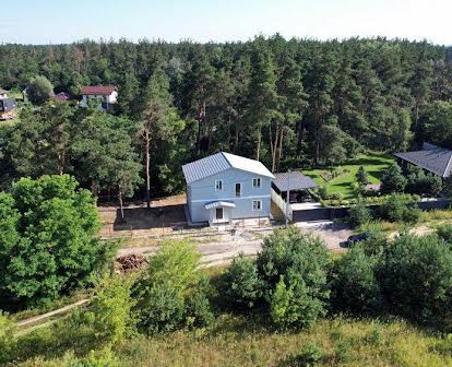 Двоповерховий будинок під лісом перша лінія в селі Нове (Боярка).