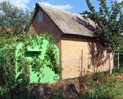 Дачний будинок у Петрівці