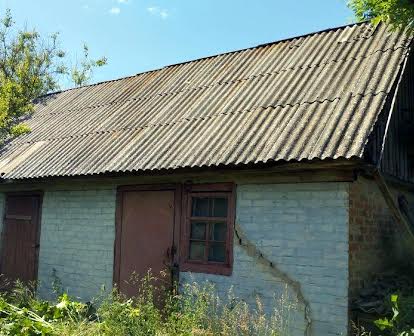 Продам будинок в селі Книшівка, Гадяцький р-н, Полтавська область.
