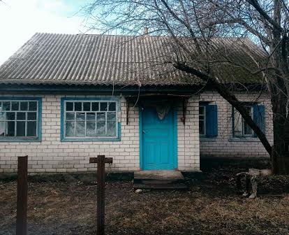 Продам будинок в селі Тіньки