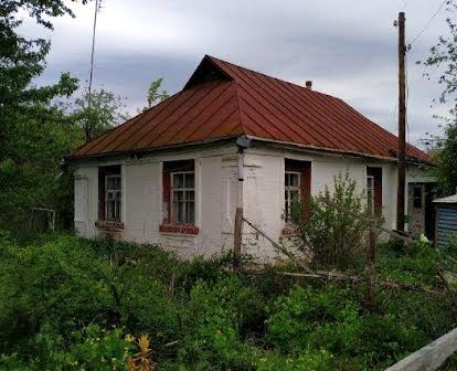Продам будинок в селі Шамраївка