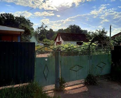 Дом-Будинок в Київська область