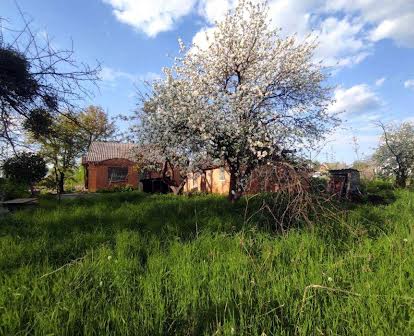 Продається хороший будинок в Стрижавці