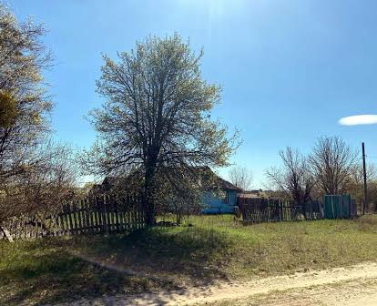 Продаж будинку у с. Петрівському Вишгородського р-ну