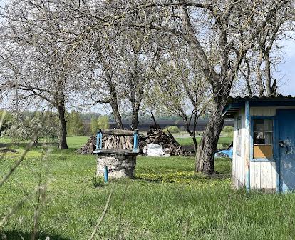 Продам старий будинок з ділянкою на жилій вулиці міста Узина