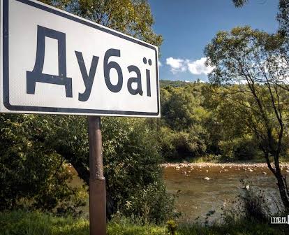 Дачний Будинок в Карпатах неподалік Заповідника та водоспаду Камянка!