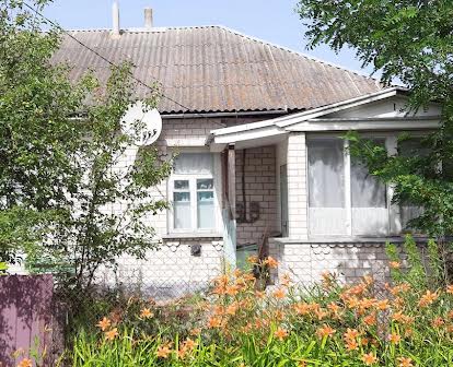 Половина будинку (м.Андрушівка, Житомирська область)