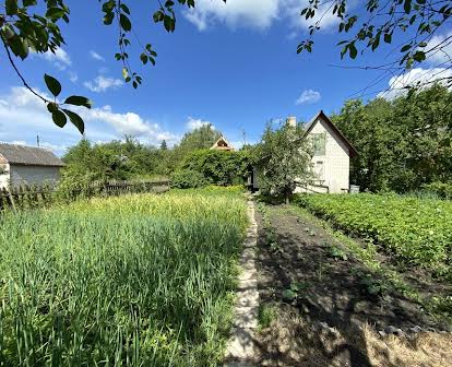 Продам дачу на масиві білий налив