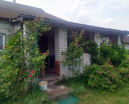 Продається будинок, Дача в селі Сошників