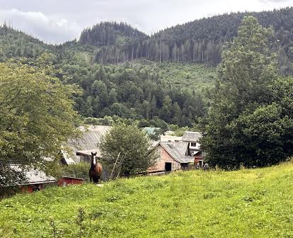 Продається будинок у горах Закарпаття з шикарними краєвидами