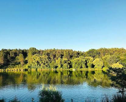 ЦІНУ ЗНИЖЕНО . Будинок біля озера та лісопарку , земельна ділянка