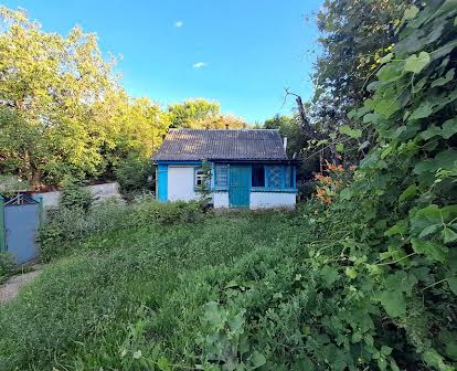 Продаж будинку в селі Тріпілля