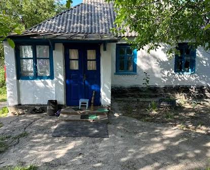 Продам будинок в селі Синява, Білоцерківський район