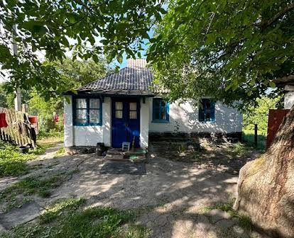 Продам будинок в селі Синява, Білоцерківський район
