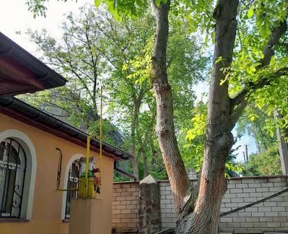 Продаю дом в  с. Креничи, Обуховский р-н, 20 км от Киева