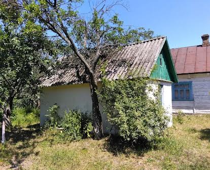 Земельна ділянка з будівлями від власника Світязь