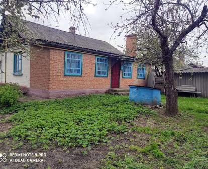 Продам будинок Олександрівка Кіровоградська область